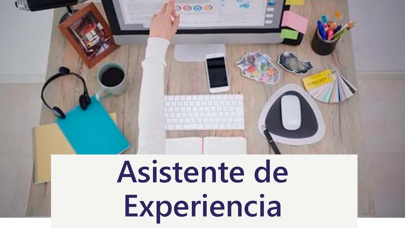 AsistentedeExperiencia